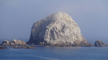 Kayalık plaj ve doğanın peyzajı