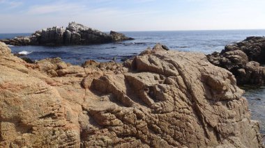 Kayalık plaj ve doğanın peyzajı