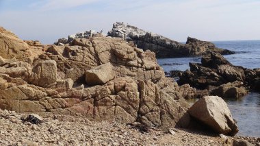 Kayalık plaj ve doğanın peyzajı