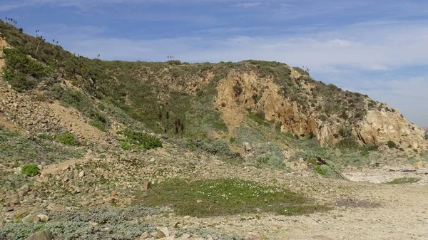 Landskap Stenig Strand Och Natur — Stockfoto