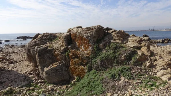 Landschaft Aus Felsigem Strand Und Natur — Stockfoto