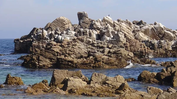 Пейзаж Скелястих Пляжів Природи — стокове фото