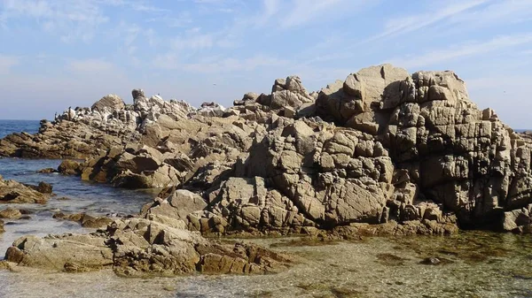 Kayalık plaj ve doğanın peyzajı