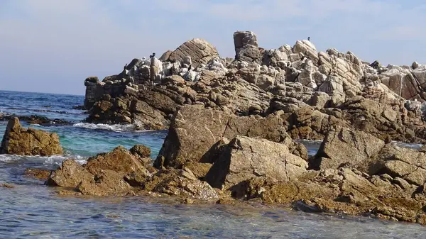 Kayalık plaj ve doğanın peyzajı