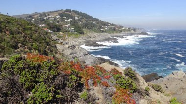 Kayalık plaj ve okyanus manzarası manzara