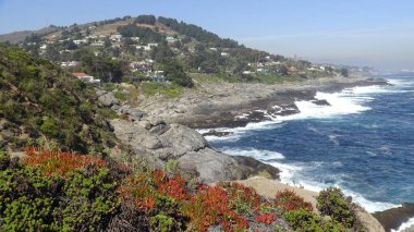 Kayalık plaj ve okyanus manzarası manzara