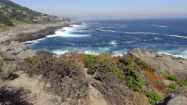 Kayalık plaj ve okyanus manzarası manzara