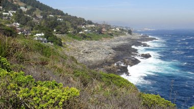 Kayalık plaj ve okyanus manzarası manzara