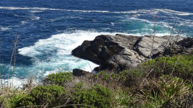 Kayalık plaj ve okyanus manzarası manzara