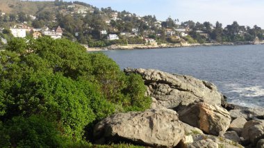 Kayalık plaj ve doğanın peyzajı