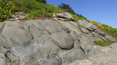 Kayalık plaj ve doğanın peyzajı