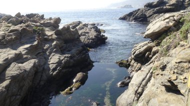 Kayalık plaj ve doğanın peyzajı