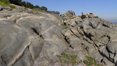 Kayalık plaj ve doğanın peyzajı