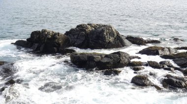 Kayalık plaj ve doğanın peyzajı