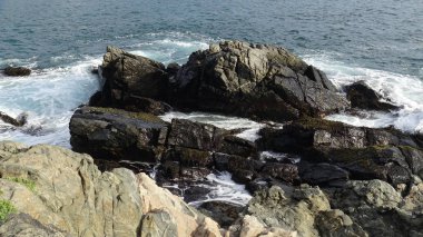 Kayalık plaj ve doğanın peyzajı