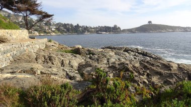 Kayalık plaj ve doğanın peyzajı