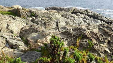 Kayalık plaj ve doğanın peyzajı