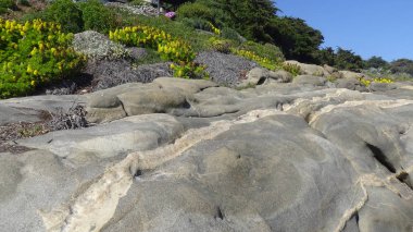Kayalık plaj ve doğanın peyzajı