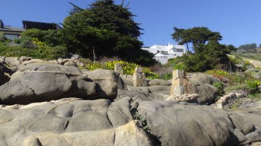 Kayalık plaj ve doğanın peyzajı