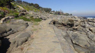 Kayalık plaj ve doğanın peyzajı