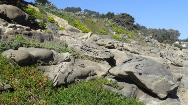 Kayalık plaj ve doğanın peyzajı