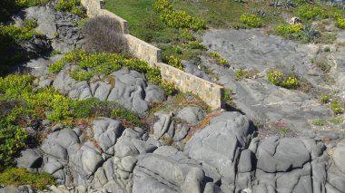 Kayalık plaj ve doğanın peyzajı