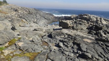 Kayalık plaj ve doğanın peyzajı