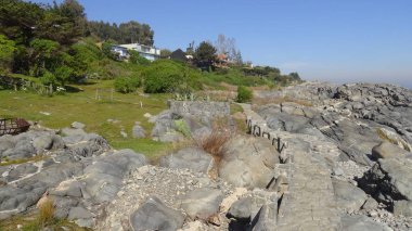 Kayalık plaj ve doğanın peyzajı