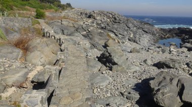 Kayalık plaj ve doğanın peyzajı