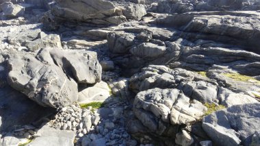 Kayalık plaj ve doğanın peyzajı