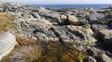 Kayalık plaj ve doğanın peyzajı