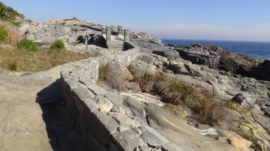 Kayalık plaj ve doğanın peyzajı