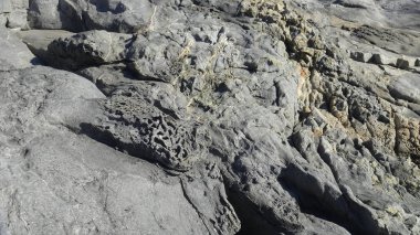 Kayalık plaj ve doğanın peyzajı