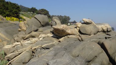 Kayalık plaj ve doğanın peyzajı