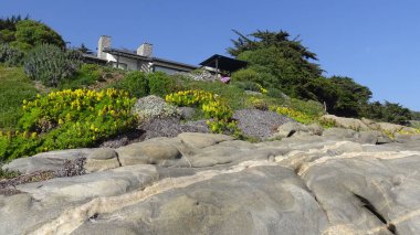 Kayalık plaj ve doğanın peyzajı