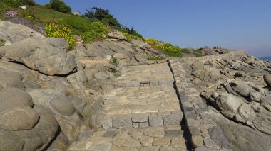 Kayalık plaj ve doğanın peyzajı