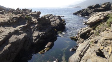 Kayalık plaj ve doğanın peyzajı