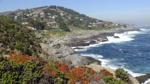 Kayalık plaj ve okyanus manzarası manzara