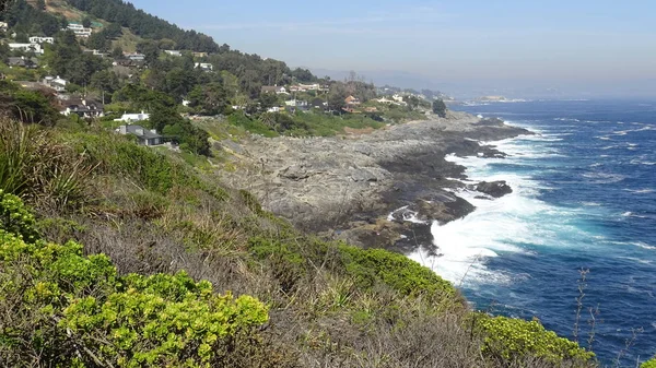 Kayalık plaj ve okyanus manzarası manzara