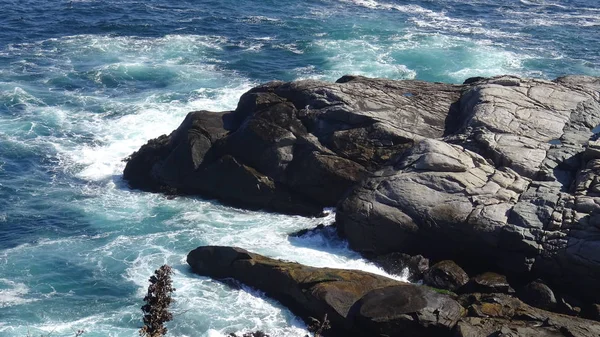 Landschap Van Rotsachtig Strand Uitzicht Oceaan — Stockfoto