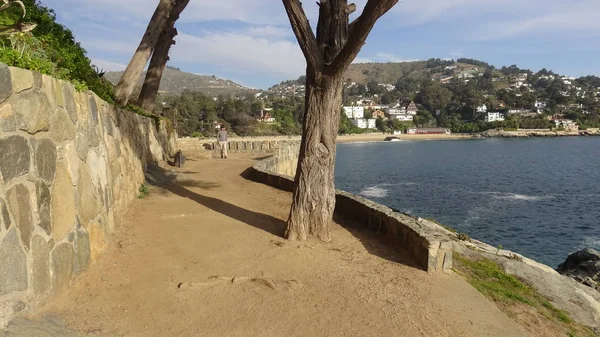 Kayalık plaj ve doğanın peyzajı