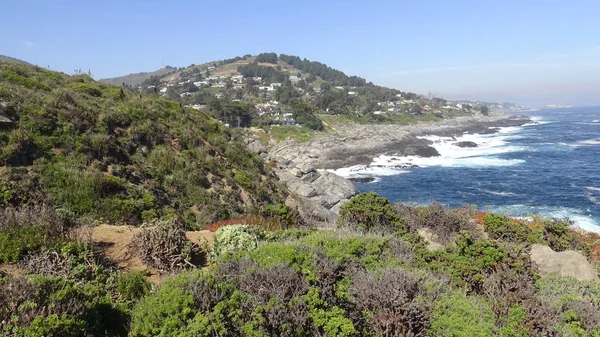 Kayalık plaj ve doğanın peyzajı