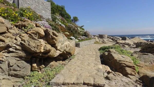 Kayalık plaj ve doğanın peyzajı