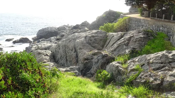 Kayalık plaj ve doğanın peyzajı