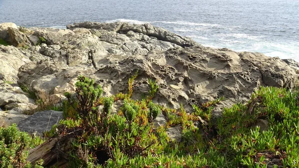 Landscape Rocky Beach Nature — Stock Photo, Image