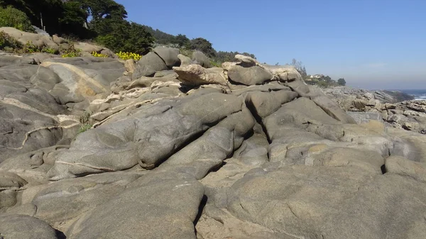 Kayalık plaj ve doğanın peyzajı