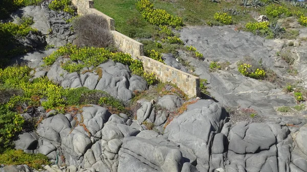 Kayalık plaj ve doğanın peyzajı