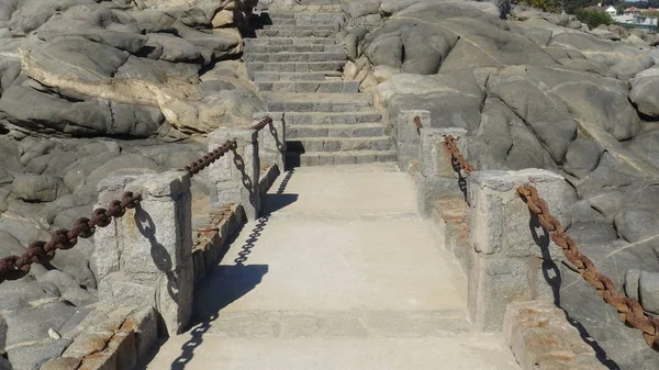 Kayalık plaj ve doğanın peyzajı