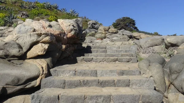 Kayalık plaj ve doğanın peyzajı