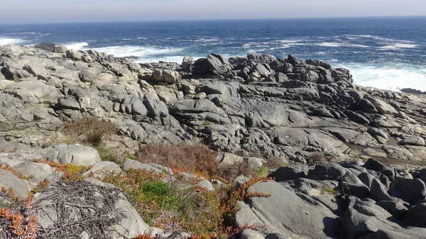 Landscape Rocky Beach Nature — Stock Photo, Image